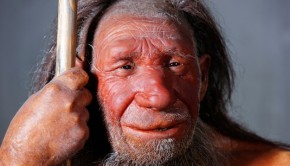 Neanderthal Man by Svante Pääbobook | Book Review Roundup | The Omnivore