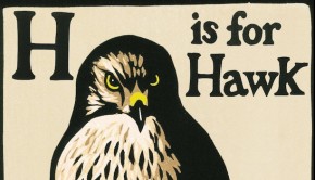 H is for Hawk by Helen Macdonald