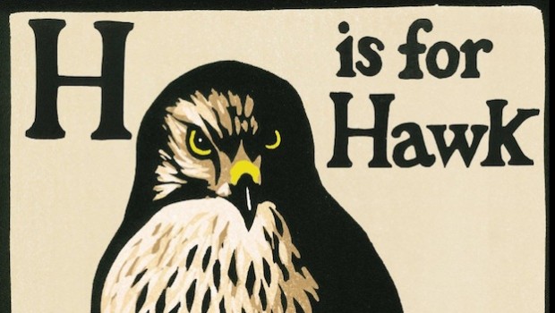 H is for Hawk by Helen Macdonald